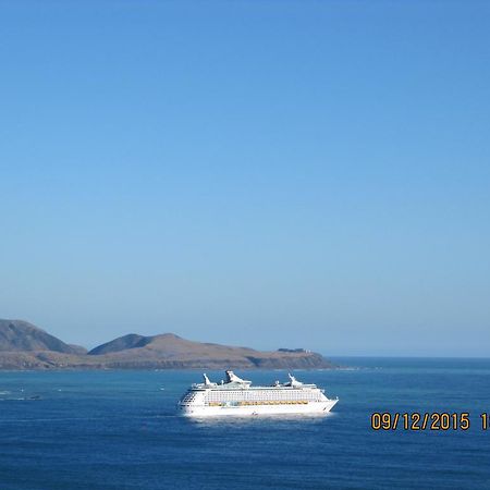 Pacific View Bed And Breakfast Wellington Bagian luar foto