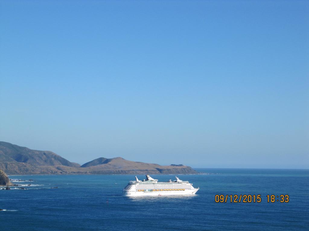 Pacific View Bed And Breakfast Wellington Bagian luar foto